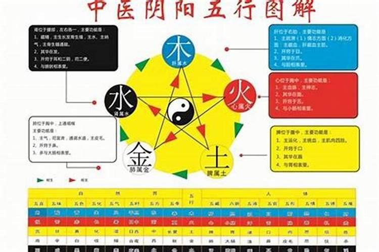 个人五行属性查询免费