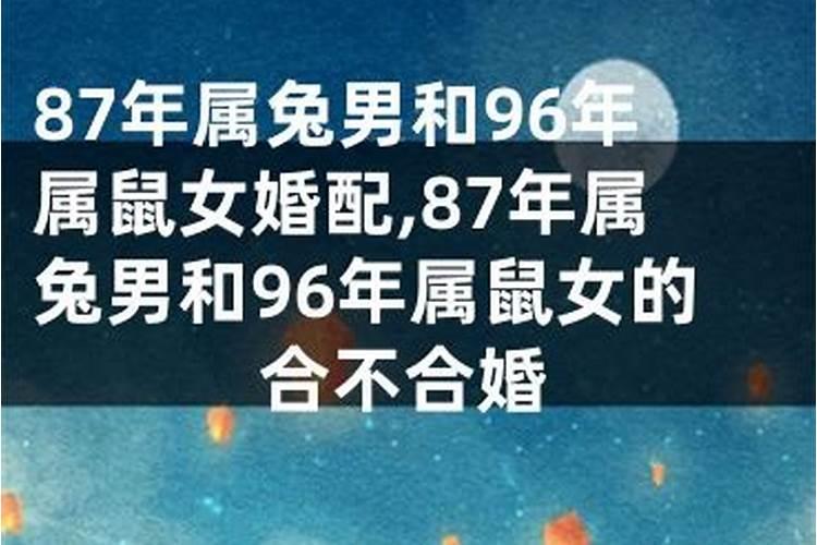 87属兔男和96属鼠女的合不合