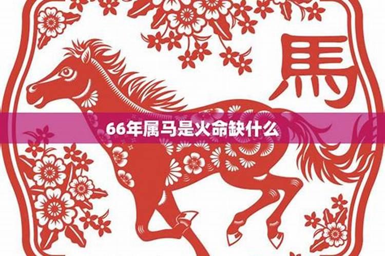 66年和62年属相能不能配