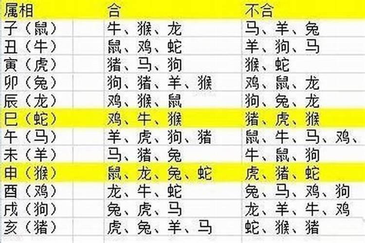 2023年兔年宜生子的属相父母