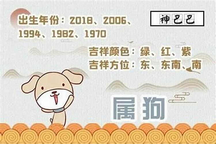 属狗明年运势2021年运势