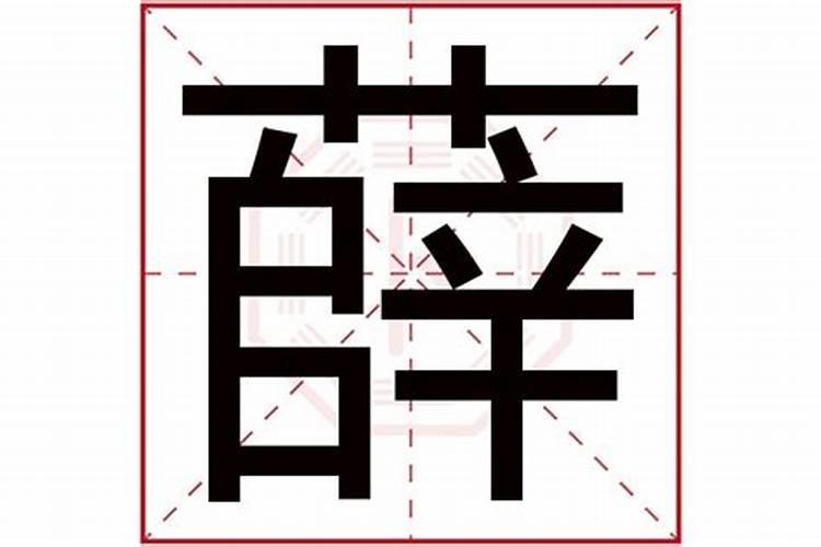 薛五行属什么的字