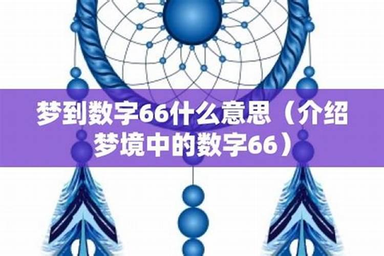 做梦梦见数字6