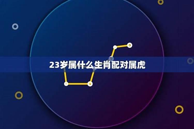 2021年23岁的属什么