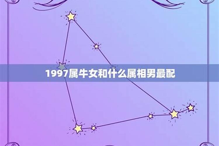 1997属牛女的和什么属相最配