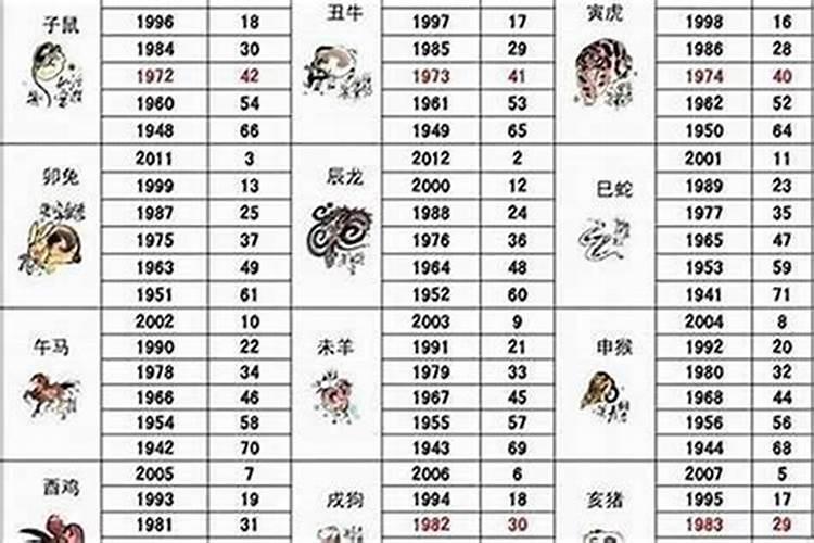 04年属什么生肖