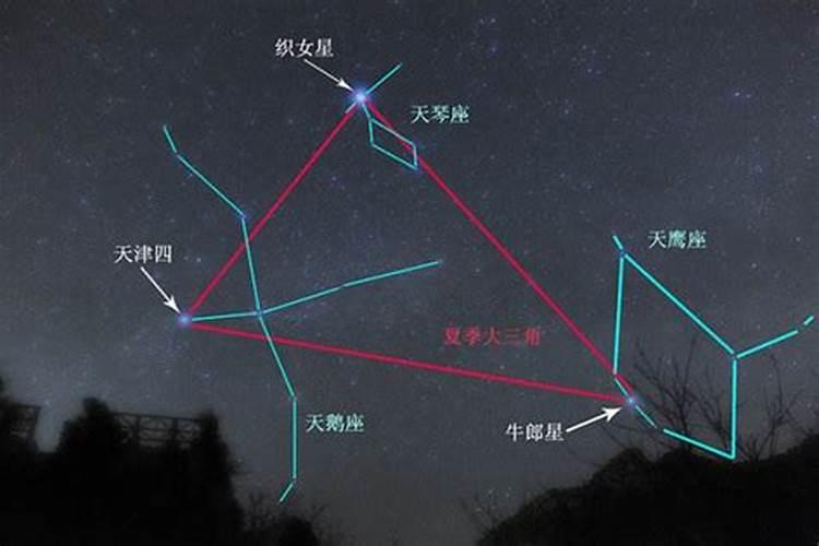 牛郎星属于哪个星座