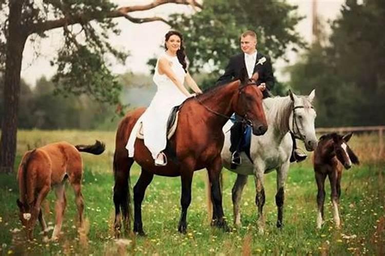 属马的女婚配和什么生肖最佳?