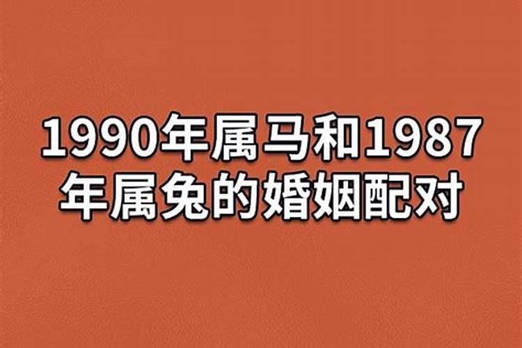 1987男兔1990女马婚姻