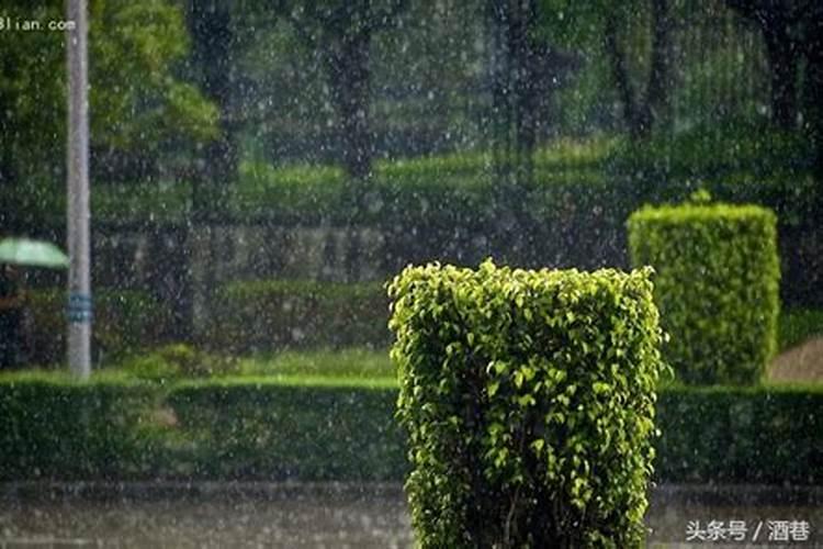 女人梦见在大雨中前行