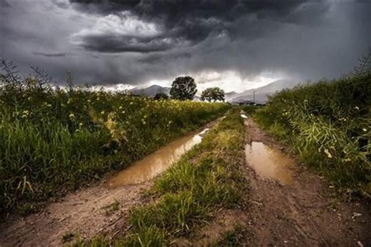 女人梦见自己冒雨前行道路泥泞什么意思