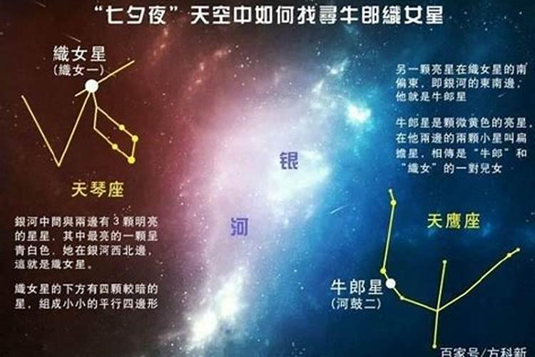 牛郎星属于哪个星座