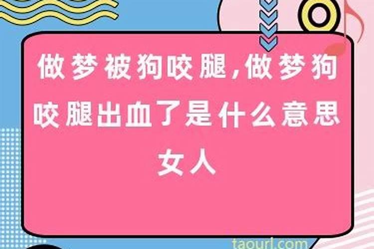 梦见狗咬自己的腿流血是什么意思啊女