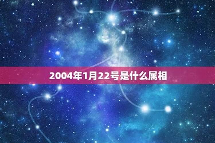 2004年生属什么