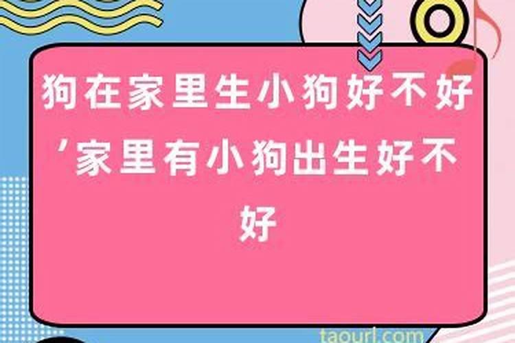 梦到好多坟墓代表什么