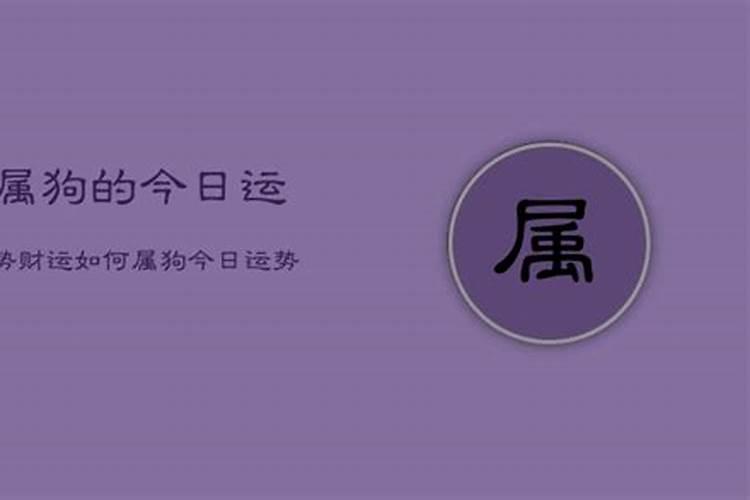 狗人今日运势及财运方位