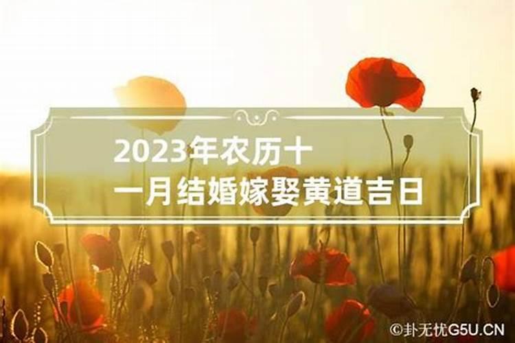 2023年的黄道吉日