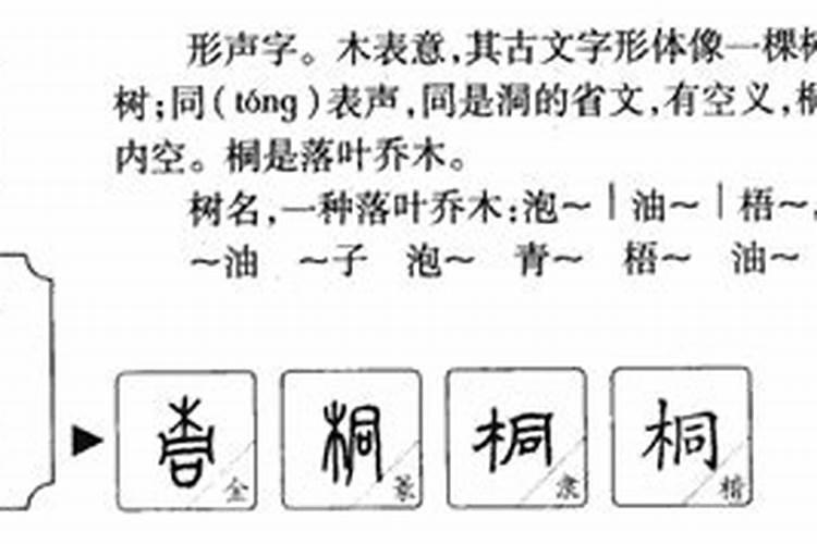 潇字五行属什么