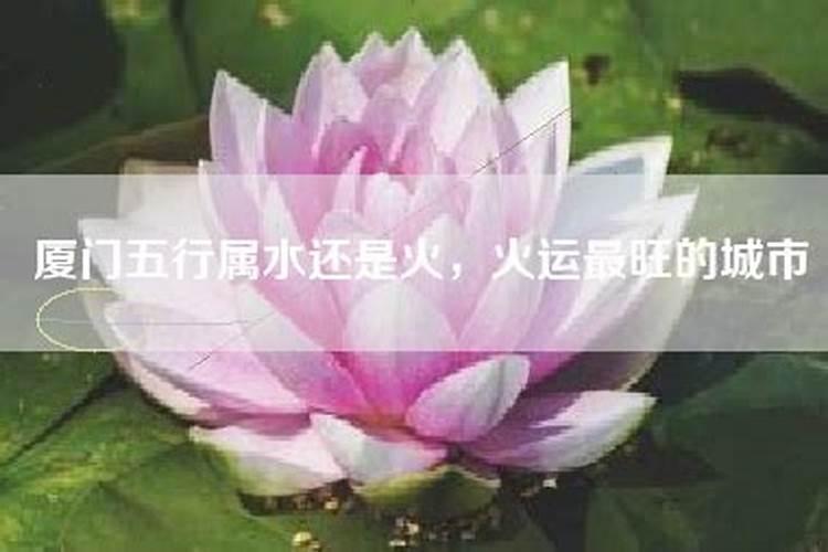 厦门的五行属性是什么