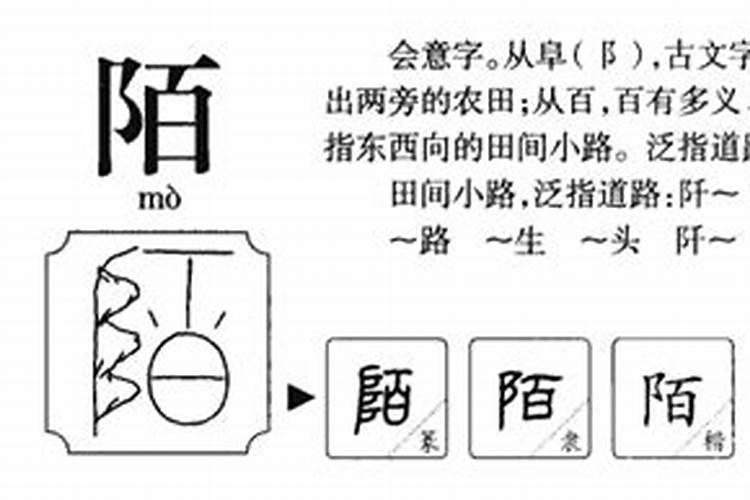 0217是什么星座