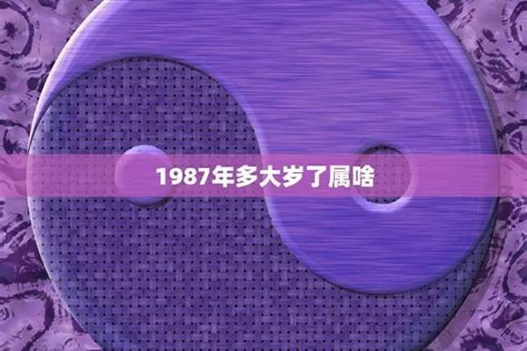 1987年1月出生2021年多大