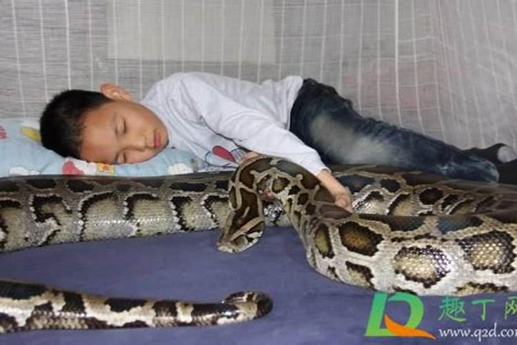 做梦梦到蛇在床上是什么意思