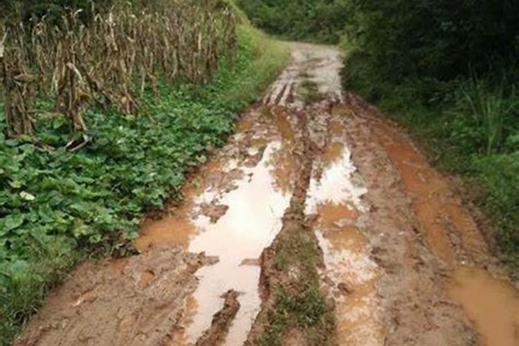 梦见雨中走泥泞路