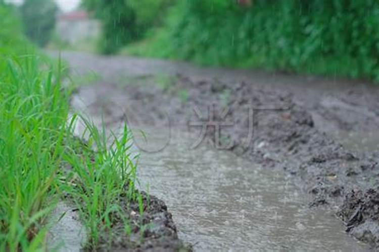 梦见下雨道路泥泞梦见下雨天走泥路