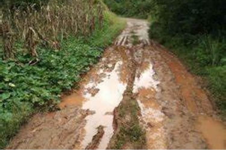 梦见雨后泥泞的道路什么意思啊