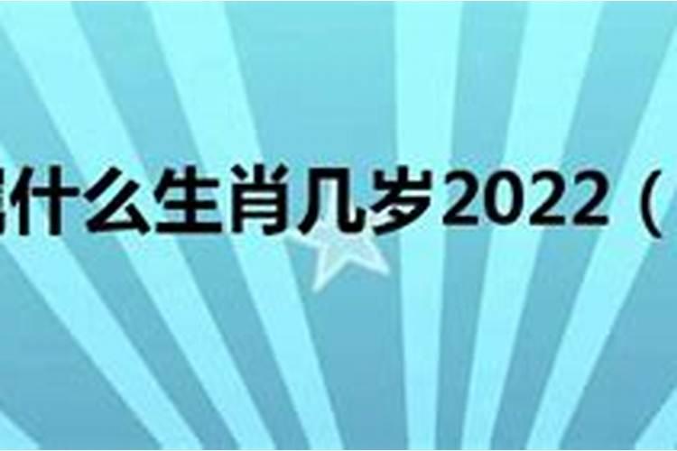 1986年属什么多少岁