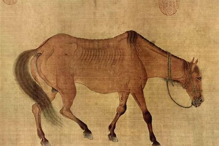 关于马的寓意和象征