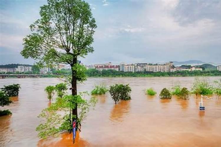 梦见涨大水了好吗