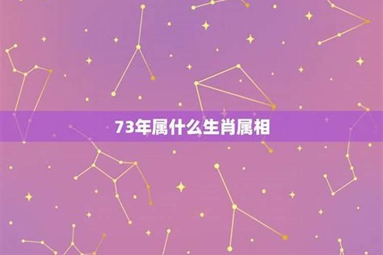 73年属什么的今年多大岁数