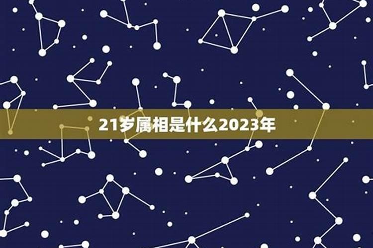 今年21岁了属什么的