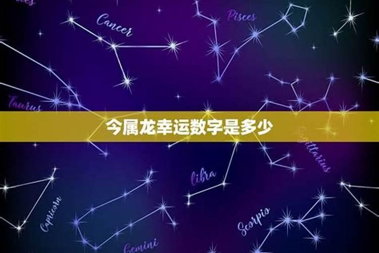 今天属龙的幸运数字是多少