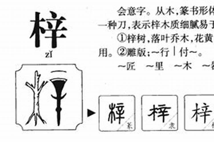 梓字五行属什么属性土