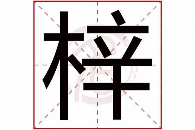 梓这个字的五行属什么