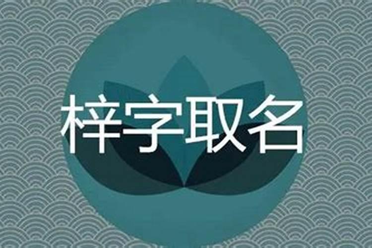 梓这个字的五行属什么