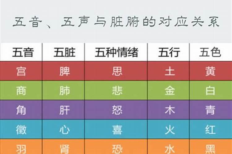 音调五行属性是什么