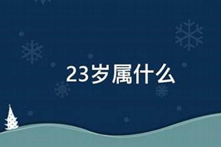 23岁属什么啊