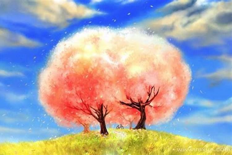 病人梦见树开花了预兆什么