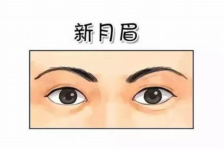 三八妇女是什么生肖