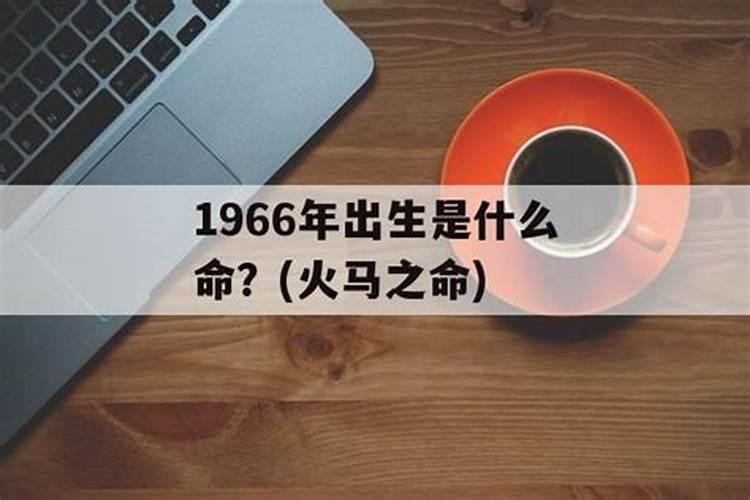 1966年出生属什么