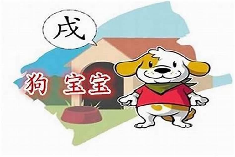 生肖狗出生在几日最好