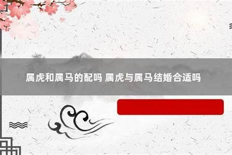 属马和属虎的人合不合婚姻