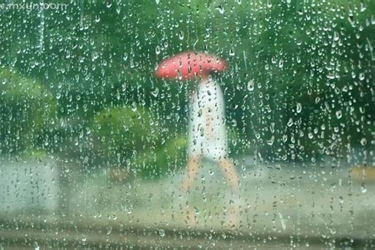 女人梦见在雨中行走,老公拿伞迎接