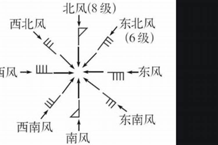 如何用风旗估测风力大小的