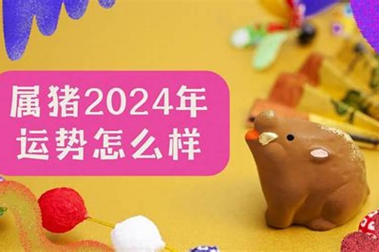 2022年生肖猪的运势