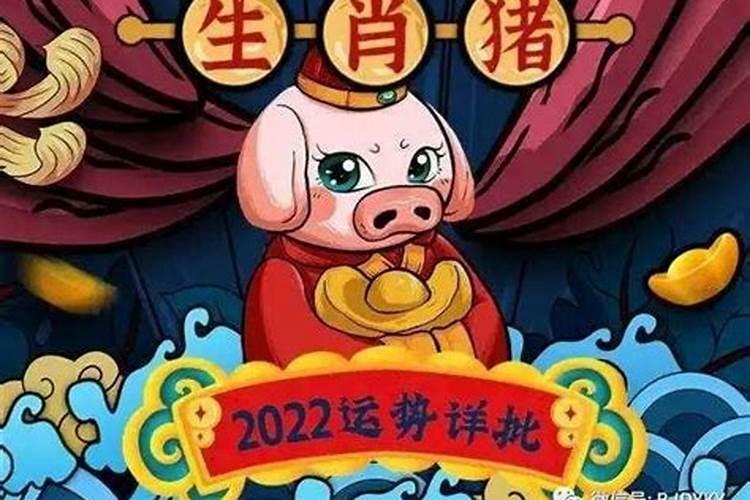 2022年属猪全年运势
