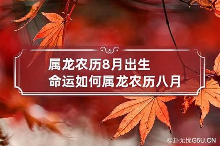 农历八月的属龙